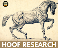 hoof research on The Hoof Blog