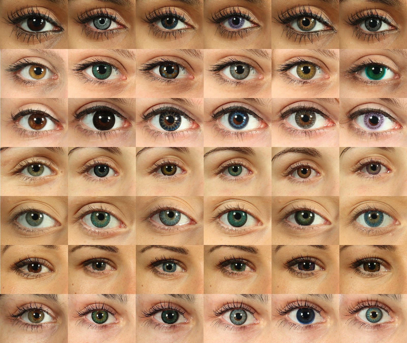 Best Color Contacts For Dark Brown Eyes Coloring Wallpapers Download Free Images Wallpaper [coloring654.blogspot.com]