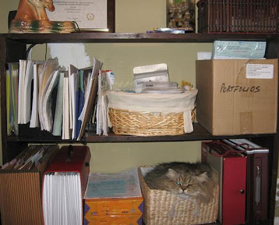 Way to Store and Organize Your Cats Seen On www.coolpicturegallery.net