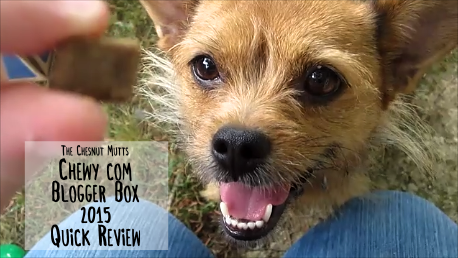 The Chesnut Mutts Chewy.com Blogger Box 2015 Quick Review
