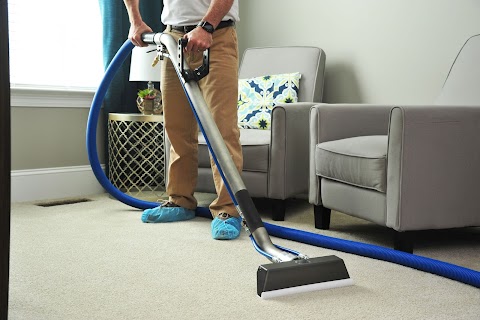 Top 5 Professional Carpet Cleaning Tips