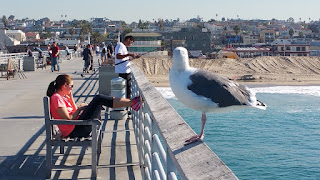 Hermosa Beach