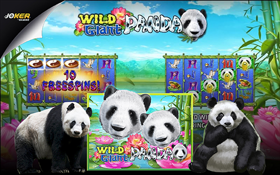 Slotxo wild giant panda