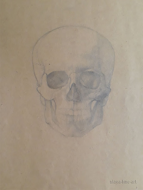 slava-fine-art 안영광 slava pencil on toned paper skull study sketch drawing 