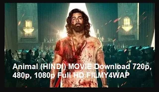 Animal (HINDI) MOVIE Download 720p, 480p, 1080p Full HD FILMY4WAP