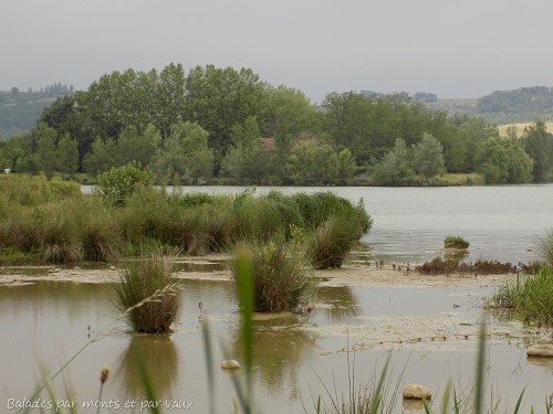 Le domaine des oiseaux