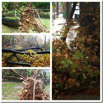 bronx-ny-hurricane-sandy-2012-parkchester