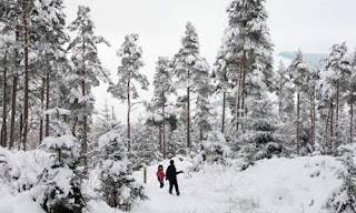 Snowy New Year Weather