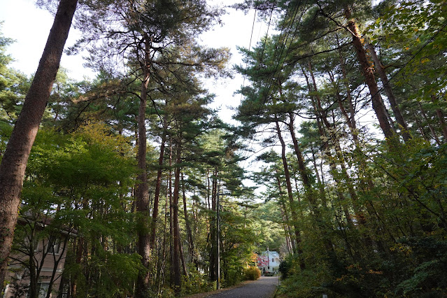 鳥取県西伯郡伯耆町丸山　ロイヤルシティ大山　別荘地