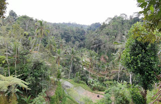 Isla de Bali, Gunung Kawi.