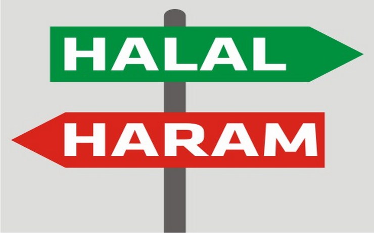 Daftar Hewan  yang Halal  dan Haram Untuk dimakan Menurut 