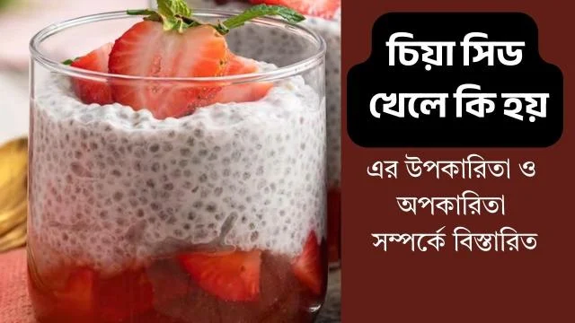 চিয়া সিড খেলে কি হয়