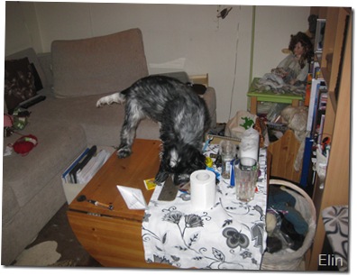 20102 023