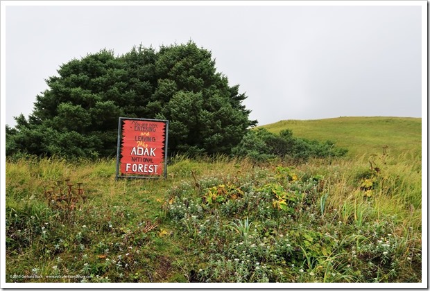 150907_Adak_NatForest1_WM