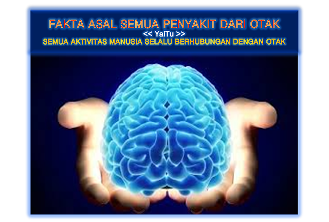 http://www.brain-king-plus.com/ >> 08123 01 8900 <,