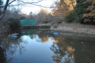 那珂八景_県民の森と総合公園