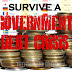 Surviving a Government Debt Crisis
