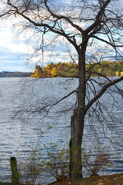 krajobraz-nad-jeziorem-finlandia