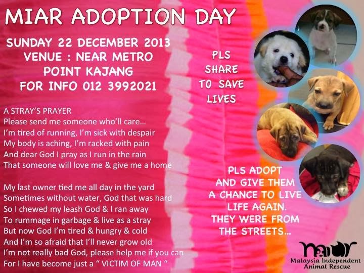 Sholee S Sphere Malaysia Independent Animal Rescue Adoption Day