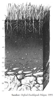 Profil dan Solum Tanah