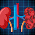 10 sinais de alerta de doença renal - Ficar Bem