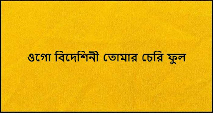 ওগো বিদেশিনী তোমার চেরি ফুল