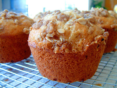 Recipes oat meal muffins