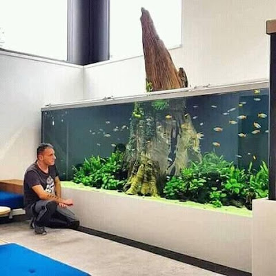 Top Fish Aquarium Design Indoor Decoration Ideas at Home