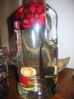 Gifting Season: Infused Vodka @ seattlecitystyle.blogspot.com