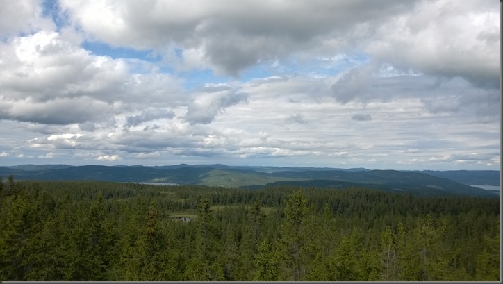 WP_20150803_036