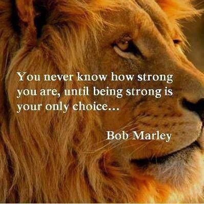 Quotes About Being A Lion