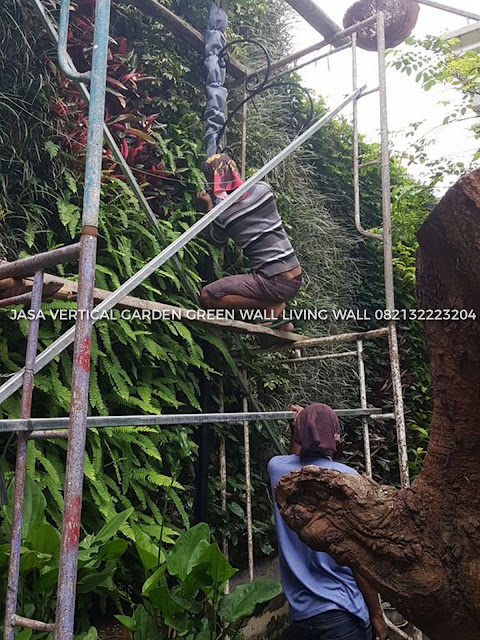 JASA PEMBUATAN VERTICAL GARDEN BOGOR, JASA VERTICAL GARDEN BOGOR, JASA TUKANG TAMAN VERTICAL BOGOR, JASA PEMBUATAN DINDING HIDUP BOGOR, JASA PEMBUATAN DINDING HIJAU BOGOR, roof garden murah, roof garden design, roof garden minimalis, roof garden sederhana, roof garden detail, roof garden medan, roof garden BOGOR, drainasecell roof garden, versicel roof garden, roof garden indonesia, roof garden BOGOR, roof garden system, roof garden, roof garden adalah, drainasecell, versicell, alat roof garden, cara membuat roof garden, peralatan roof garden, roof top, top roof garden, taman dak atas, cara membuat taman dak, taman atap roof garden, taman roof garden, roof garden apartment, tukang taman vertikal, vertikal garden murah, vertikal garden sederhana, taman vertikal dari botol bekas, taman vertikal murah, taman vertikal rumah minimalis, taman vertikal adalah, taman vertikal dalam rumah, taman vertikal, taman vertikal minimalis, taman vertikal anggrek, taman vertikal botol, taman vertikal di bandung, taman vertikal menggunakan botol bekas, taman vertikal dari batu bata, biaya taman vertikal, buat taman vertikal, contoh taman vertikal, cara taman vertikal, contoh taman vertikal garden, taman vertikal di rumah, taman vertikal di lahan sempit, taman vertikal di dinding, taman vertikal dinding, taman vertikal dengan paralon, taman vertikal depok, fungsi taman vertikal, foto taman vertikal, taman vertikal garden, taman gantung vertikal, gambar taman vertikal minimalis, cara membuat taman vertikal garden, gambar taman vertikal, griya taman vertikal, desain taman vertikal garden, taman vertikal hidroponik, taman vertikal harga, harga taman vertikal murah, taman vertikal indonesia, taman vertikal indoor taman vertikal italia, ide taman vertikal, vertical gardens, vertical gardening, wall garden, green wall, vertical gardening systems, wall planter, indoor vertical planter, planter, wall planters, green walls, greenwall, garden walls, plant wall, wall planters indoor, wall planters for outdoors, vertical blinds, vertical line, vertical farming, vertical integration, vertical angles, vertical radiators, vertical meaning, define vertical,