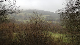 View from Scord's Wood, 3 March 2012.