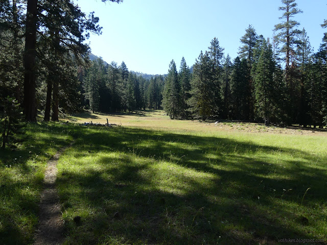 192: track through a meadow surrounded by green trees