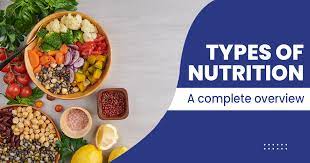 What is Nutrition? And Types of Nutrition – All You Need to Know