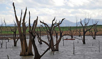 Waduk Udawalawe