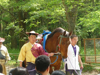 牝馬はやさしい顔だち