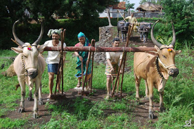 SIDDHAGIRI GRAMJIVAN MUSEUM