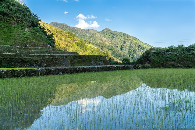 Pula-Région de l'Ifugao-Luçon-Philippines