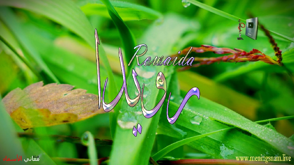 معنى اسم رويدا, وصفات, حاملة, هذا الاسم, Rowaida,