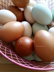 Clean eggs from pet hens to sell.