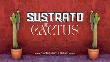 Sustrato para Cactus