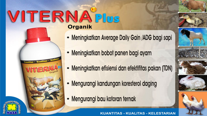 obat ternak sapi