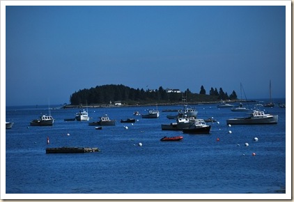 tennets harbor