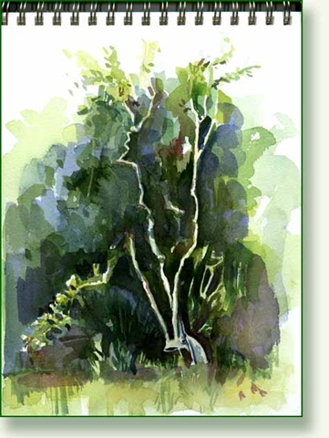blog col sketch