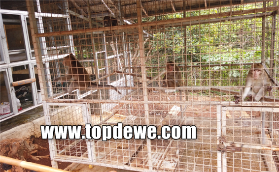 Mini zoo wisata kampung kahuripan cirangkong