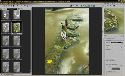 Capture One screenshot