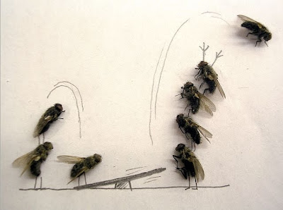 dead flies art