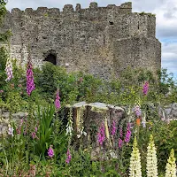 Photo of Carlingford Castle in Ireland