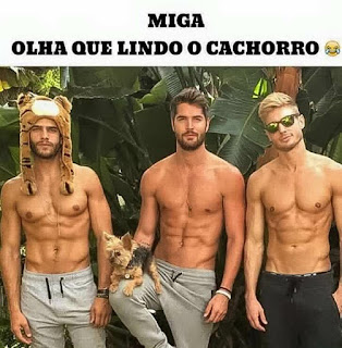 Foto de três homens jovens de pele clara da coxa para cima. Estão de frente, em pé e fazem pose para a câmera. Desnudos da cintura para cima, usam calça/pijama com cordão na cintura. O trio é do tipo sarado, musculosos, barriga tanquinho e abdômen definido .Todos com barba por fazer. Da esquerda para a direita: o rapaz usa um gorro de tigre com laterais compridas até a altura do peito, no punho esquerdo: relógio e pulseira de couro; calça de malha bege com cordão preto desamarrado. O outro usa no punho esquerdo: três pulseiras, perna direita suspensa em apoio para um cãozinho da raça Yorkshire terrier deitado sobre a coxa coberta pela calça de malha bege, também com o cordão desamarrado e por fim o loiro de óculos espelhados, cabeça levemente inclinada à esquerda e esboça um discreto sorriso, mão esquerda no bolso da calça de malha preta com cordão preto amarrado em laço. Ao lado, Ao fundo, enormes folhagens. No topo em letras pretas maiúsculas lê-se: Miga, olha que lindo o cachorro. Finaliza com um emoticon smiley chorando de tanto rir.